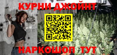 индика Пугачёв