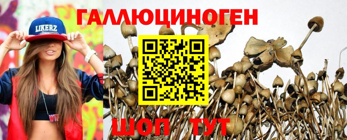 Сертолово  Галлюциногенные грибы прущие грибы  Галлюциногенные грибы мухоморы  Вход с VPN 